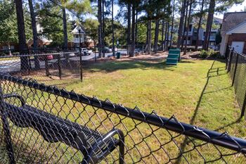 Dog park